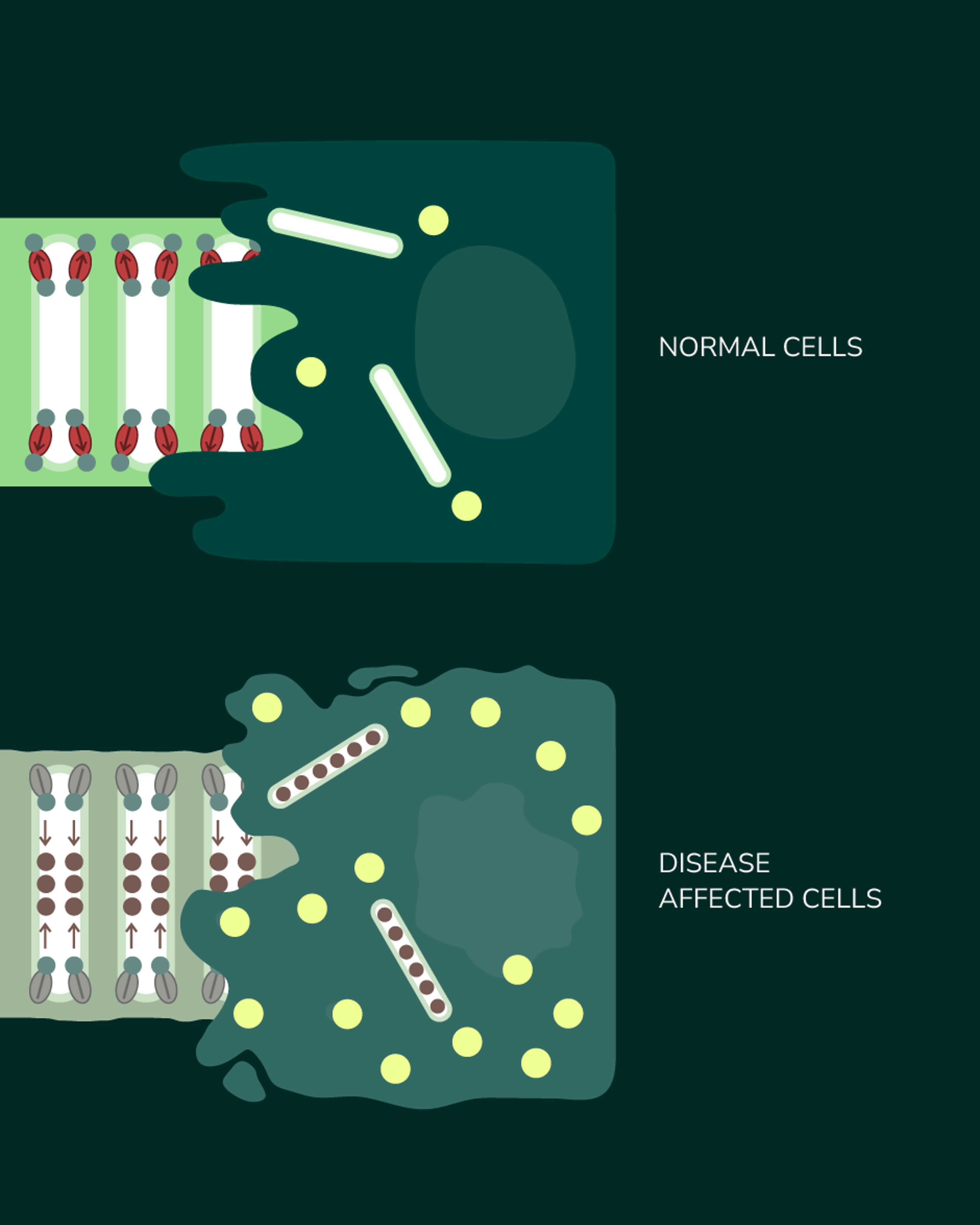 09 5 Diagram Macro