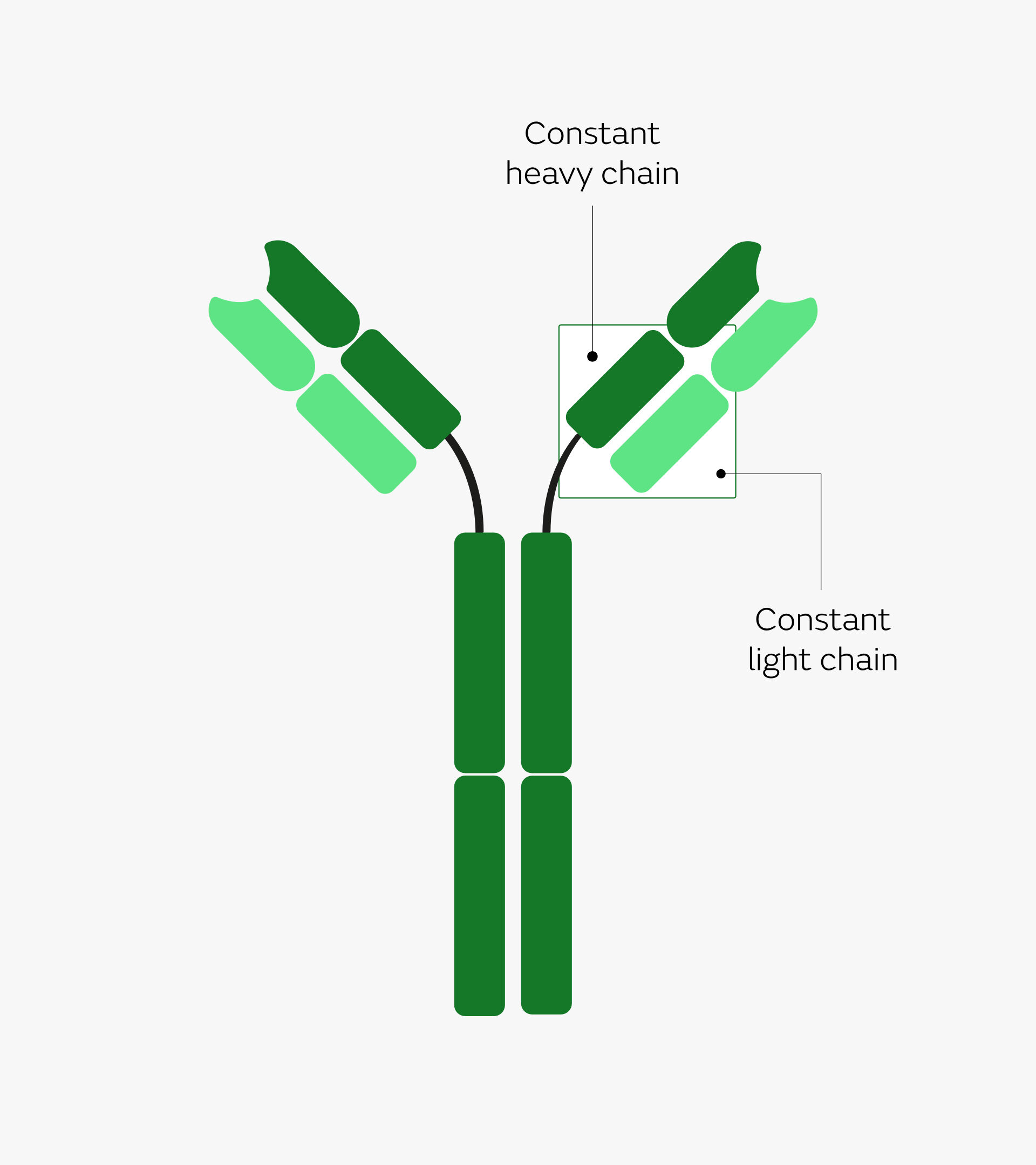 AUT – Diagram (Half)