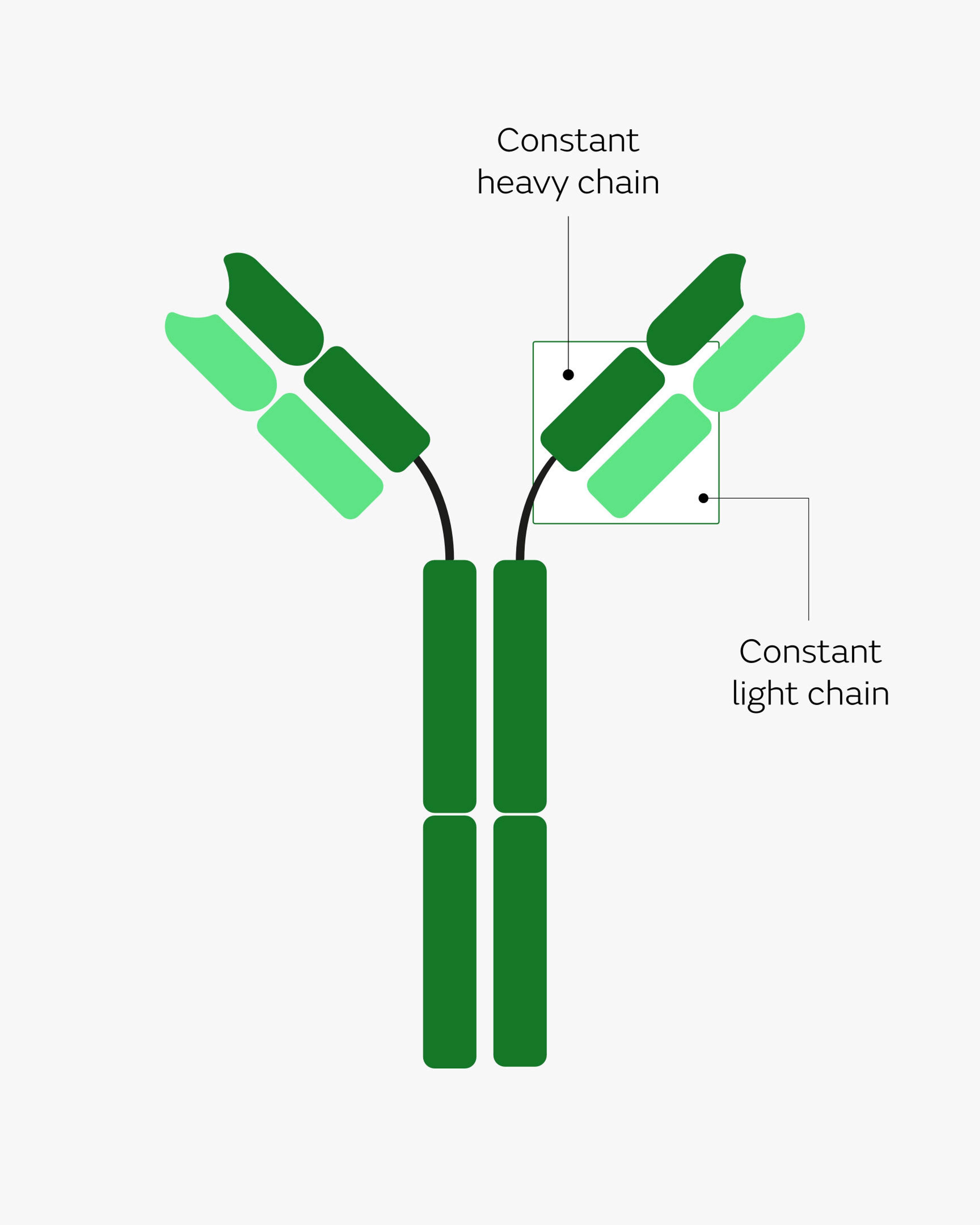 AUT – Diagram (Half)