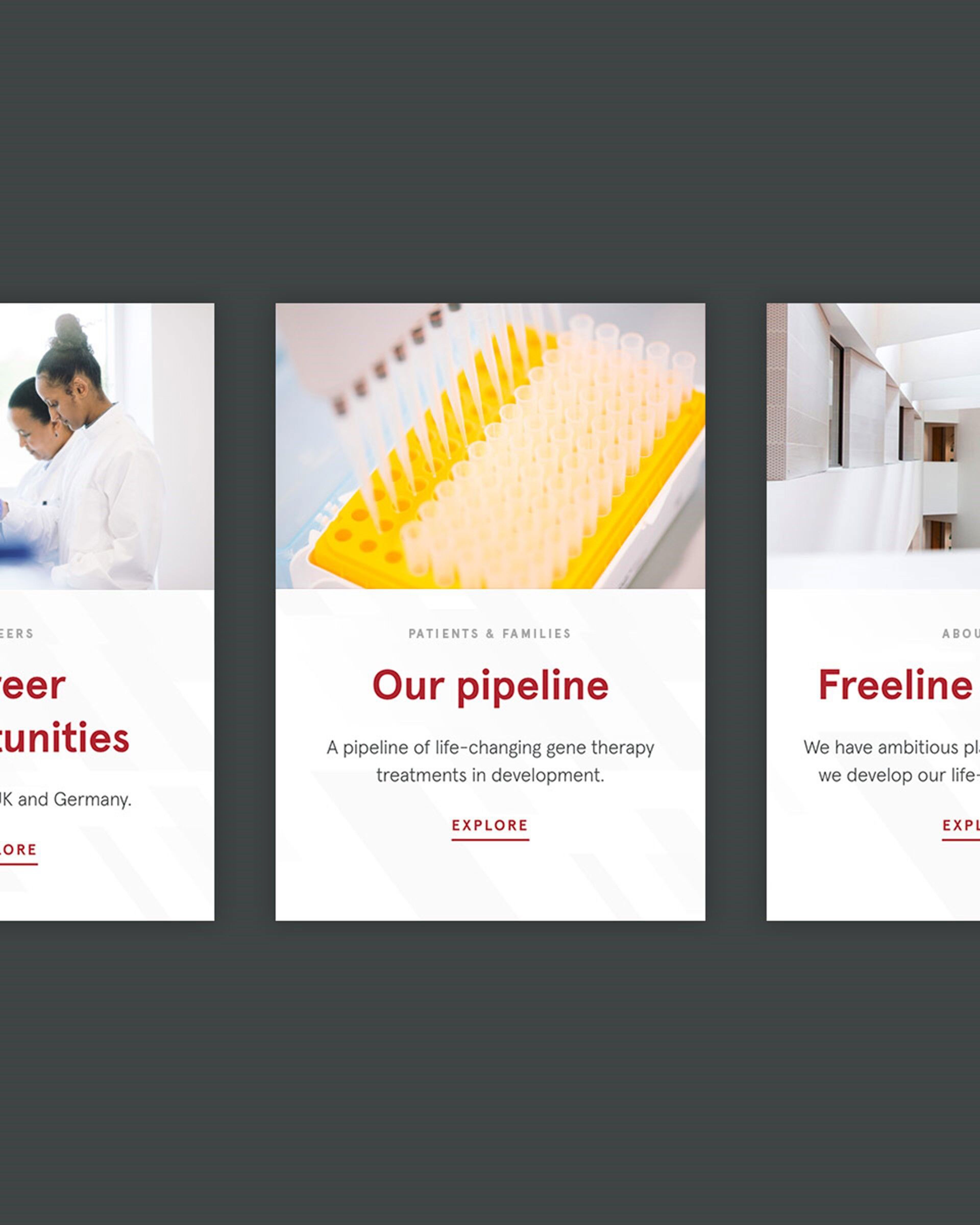 Freeline Modules 3